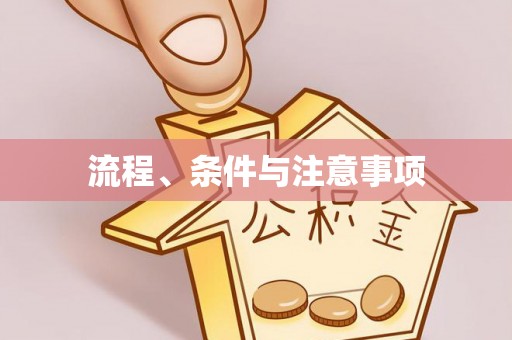 贵港流程、条件与注意事项