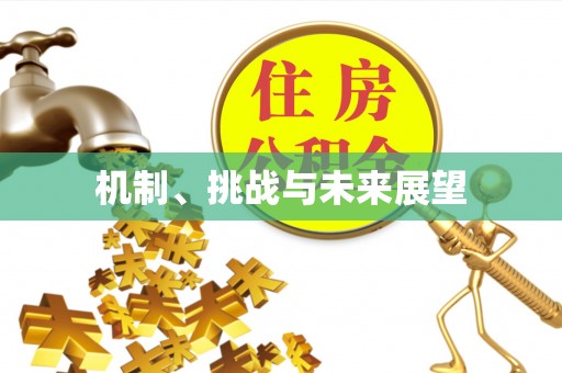 贵港机制、挑战与未来展望